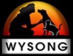 Wysong coupons and coupon codes