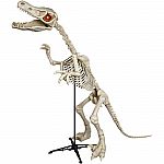 6 ft. Standing Skeleton Raptor w/ LED Illuminated Eyes Halloween Decoration $35 (Save 65%) + Free Shipping