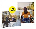 11"x14" Metal Panel Photo $14 + pickup