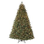  50% Off Christmas Trees