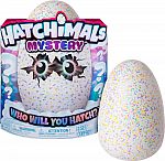 Hatchimals - Mystery Egg - Blind Box - Styles May Vary $33.99