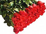 96-Count Long Stem Farm Fresh Red Roses $61.16 (Prime only)