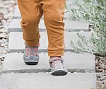 1-Day Flash Sale: select styles $20