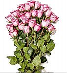 24 Valentines Day Flowers (Whole Foods/Prime) $25 Shipped (YMMV)