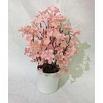 Artificial Potted Plants: 9" Succulent, 14" Pink Cherry Blosssom $3.22 and more