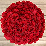 Valentine's Day 50-stem Red Roses $50 + Free Shipping & More