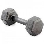 Weider Cast Iron Hex Dumbbell with Knurled Grip, 25 lbs $22