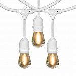 (Price Mistake?) Feit Electric 48' LED Filament String Light Set $20 + Free Shipping