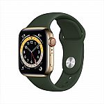 Apple Watch Series 6 (GPS + Cellular) 40mm Gold Stainless Steel Case w/ Green Band $450