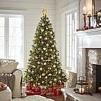 7.5 ft Alexander Pine Pre-Lit LED Artificial Christmas Tree with 550 SureBright Warm White Lights $99, 2-Sets Lights $9.99 & More