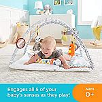 Fisher-Price Perfect Sense Deluxe Gym $30