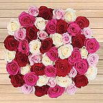 Costco Pre-Order Mother's Day 50-stem Quad Color Roses $39.99