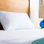 Linenspa Shredded Memory Foam Pillow $10