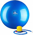 Black Mountain Products Professional Grade Stability Ball w/ Pump $9.58