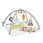 Fisher-Price Perfect Sense Deluxe Baby Gym $29.99