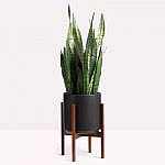 Home Depot - Select Landscaping Supplies, Flowers and Accessories Sale