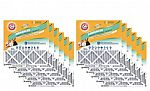 12-Pack Arm and Hammer Odor Allergen and Pet Dander Control Air Filter $60