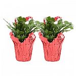Home Depot - Select Landscaping Supplies, Flowers and Accessories Sale