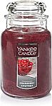 22-Oz Yankee Candle Large Jar Candle (Cranberry Chutney) $10