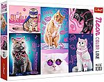 Trefl 1000 Piece Jigsaw Puzzle $4.85