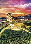 500-Piece Buffalo Games Jigsaw Puzzle (Sea Turtle ) $2.46