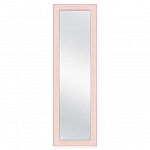 SALT Over the Door Mirror 16-Inch x 52-Inch $3.99