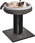 Amazon Basics Extra Large Cat Scratching Post Tree Tower With Bed $13.49