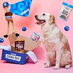 Goody Box Chewy Dog Toys, Treats, & Bandana $15