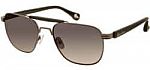 Robert Graham Sunglasses: Polarized $32, Non Polarized $28