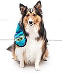 Outward Hound Invincibles Blue Snake Plush Dog Toy (3 for $10)