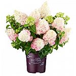 Home Depot - Select Live Goods & Landscaping Supplies Sale
