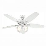 Home Depot - select ceiling fans, indoor & outdoor lighting sale