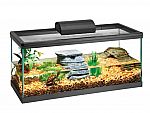 Price Error? Aqueon Standard Glass Aquarium Tank 20 Gallon $12.50 and more