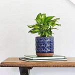 Southern Patio Griffy Blue Ceramic Indoor Pot $4.98