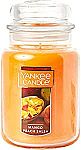 Yankee Candle Classic 22 Oz Large Jar Candle $10.49
