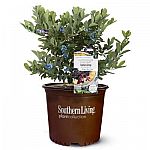 Home Depot - select Outdoor Power Equipment, Grills, Patio Furniture and Gardening Sale