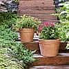 Southern Patio Terracotta Clay Planter $5 and more