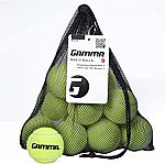 18-Ct Gamma Bag of Pressureless Tennis Balls $13.85