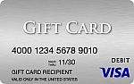 $100 in Visa gift card $95