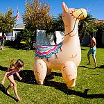 BigMouth Giant Llama 6ft tall Inflatable Yard Sprinkler $10 and more