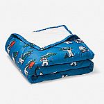 Eddie Bauer 550 fill Oversized Down Throw $32