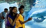 SeaWorld Orlando (or San Diego or San Antonio) Single Any Day Ticket $60