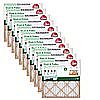 12-Pack Rheem Pleated Air Filters (MERV 8; FPR 4; Various Sizes) $20