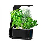 AeroGarden Sprout 3-Pod Hydroponic Indoor Garden w/ Herb Kit $49.99