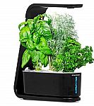 AeroGarden Sprout with Gourmet Herbs Seed Pod Kit $34.99