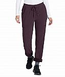 Eddie Bauer Fleece Lined Pant $9.97