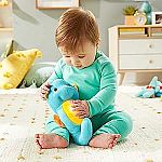Fisher-Price Musical Baby Toy $5