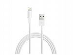 Apple Lightning to USB-A Cable (1m) $4.99