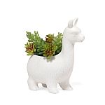 Kikkerland Design Lloyd the Llama Ceramic Planter $7.20