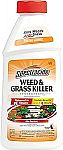 Spectracide Weed And Grass Killer Concentrate 16 Oz $2.52
